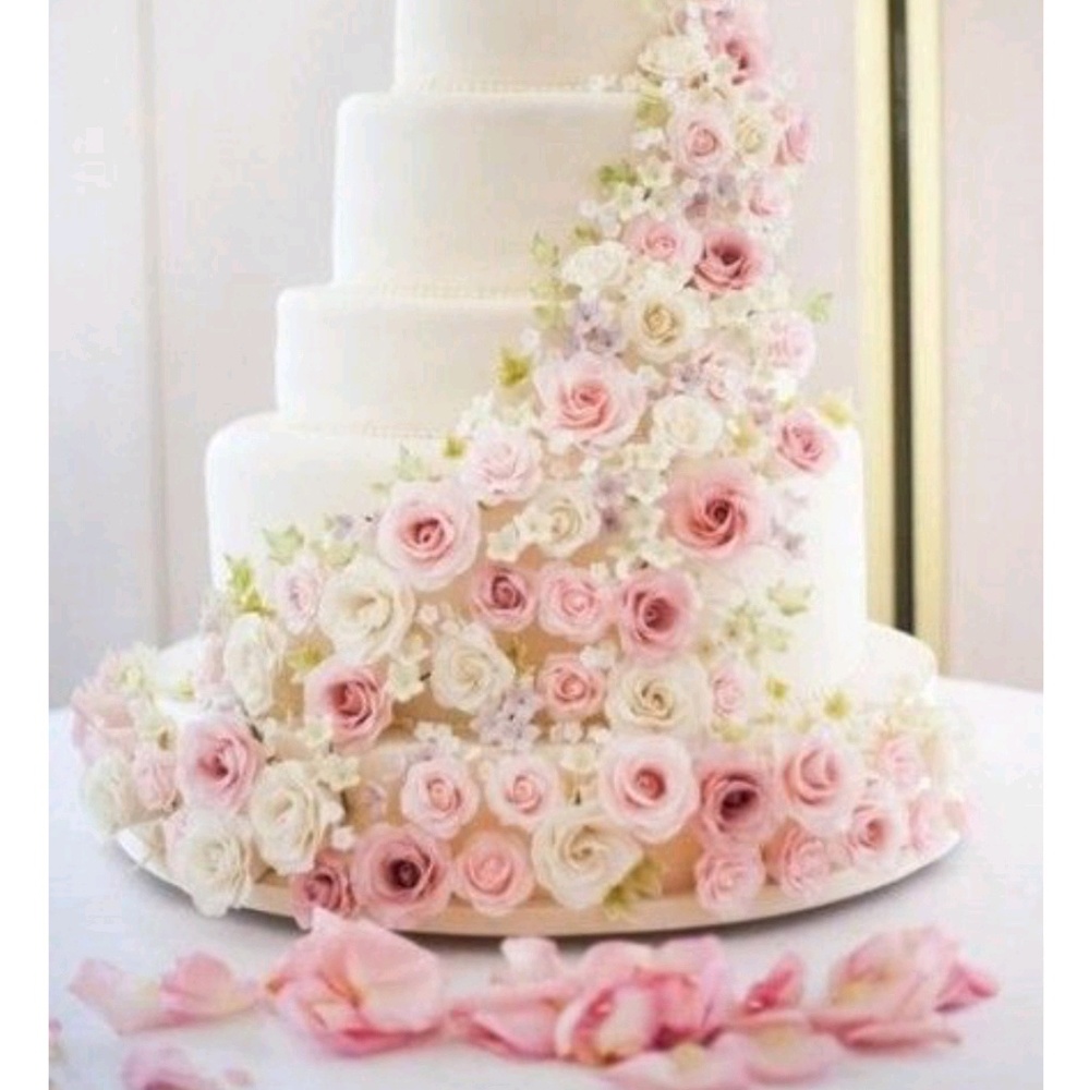 Meet your Posher, Norma